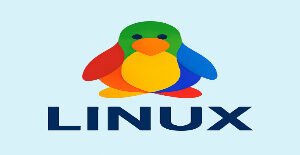 Linux IP (Premium)